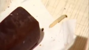 Сладкая жизнь (фрагмент 1)