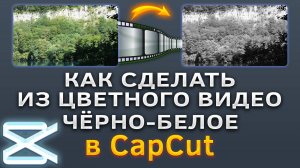 Как сделать из цветного видео чёрно-белое, цветокоррекция в CapCut
