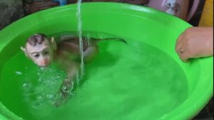 Обезьянке МАЛЫШКЕ повезло Нашли одну в лесу Живёт в доме Купают Кормят СМЕШНАЯ МАЛЮПУСЯ