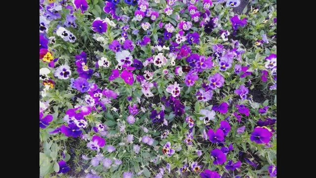 Лето - ласковый май смотреть онлайн