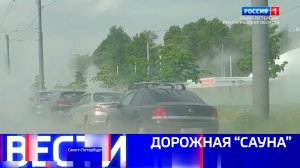 Вести Санкт-Петербург. Выпуск 08.00 от 31.05.2025