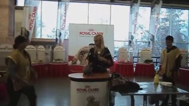 Ринг Фараон и Анабель.mkv смотреть онлайн