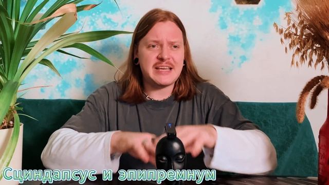 ТОП 10 КОМНАТНЫХ РАСТЕНИЙ ДЛЯ НАЧИНАЮЩИХ |САМЫЕ НЕПРИХ?
