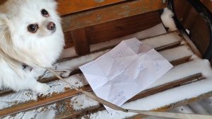 GRANNY В РЕАЛЬНОЙ ЖИЗНИ! 2 часть: отслежка за бабкой!