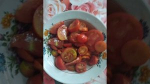 Щи из квашеной капусты