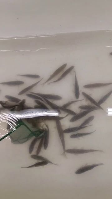 рыбалка 2023 37 регион.12 декабря смотреть онлайн