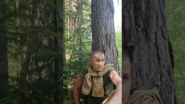 ВНИМАНИЕ! НОВОСТИ ДЛЯ ПОДПИСЧИКОВ!