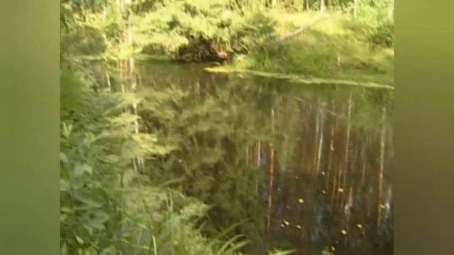 ЛОМАЯ РЕБРА,ВЫБИВАЯ ЗУБЫ,КЛОЧЬЯМИ ВЫРЫВАЯ СЕДЫЕ ВОЛОС смотреть онлайн