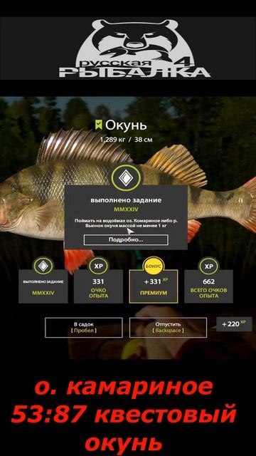 #shorts  #🎮о. Комариное 53:87 квестовый окунь🎮# Russian Fishing 4# смотреть онлайн