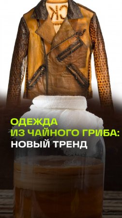 Зумеры носят одежду из чайного гриба