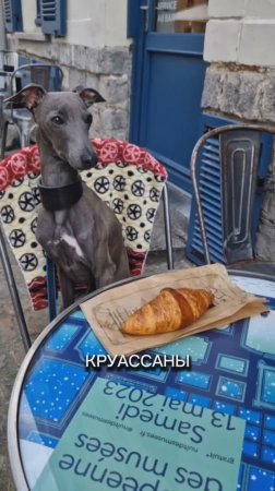 Круассаны на завтрак?