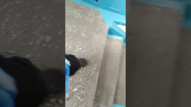 Лифт МЛМ 2020г.в 5 чел 400Кг Подъезд: 2. Район: Златоуст Гагарина. Дальше я не помню. смотреть онлайн