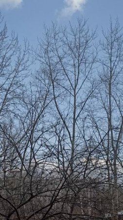Природа Нижегородской области