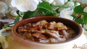 Жаркое по-деревенски (жаренка)