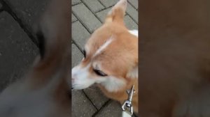 трансляция в старом месте