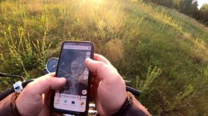 Покатушки на альфе по заросшим тропам. Заблудился в ле