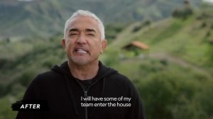 Cesar Milan's Top Training Transformations | Nat Geo Wild