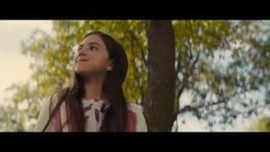 Собачья жизнь 2