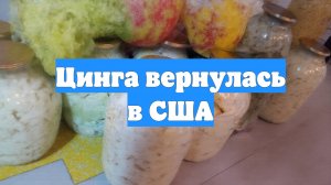 Цинга вернулась в США