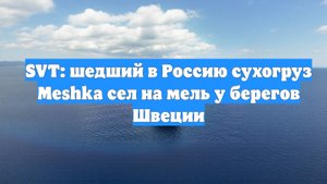 SVT: шедший в Россию сухогруз Meshka сел на мель у берегов Швеции