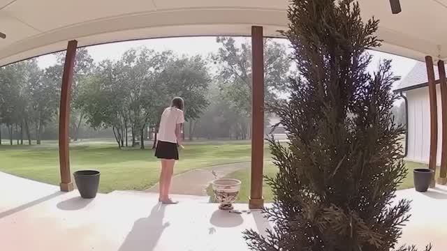 BRAIN TIME.  110 Incredible Moments Caught on CCTV Camera