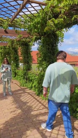винодельня шато Пино Новороссийск