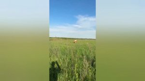 Поездка в Нижний Новгород на состязания 2025г.