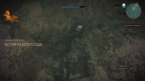 БЕСТИЯ ИЗ БЕЛОГО САДА №3  Прохождение Ведьмак 3 The Witcher 3