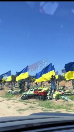 Ради чего погибли они и не скажут, а кто скажет, тому стыдно будет