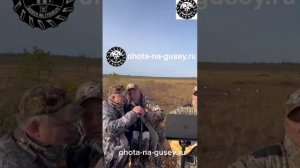 Привет охотникам!