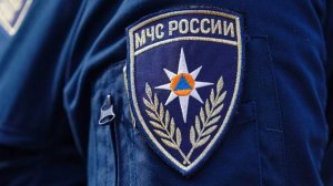 В Вологодской области произошел пожар в леспромхозе