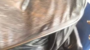 итоговый улов у Бориса на малом водоёме