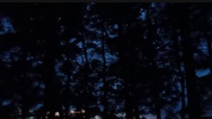 Послушайте, как весной соловьи поют! Мама живёт недалеко от леса, такая там красота