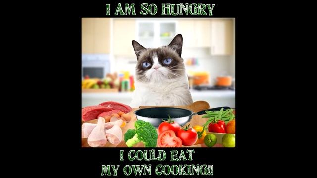 Vernulsa Donny Grump | Типа здрасте всем от котика обормотика смотреть онлайн