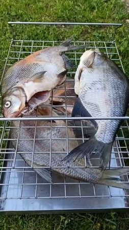 субботний вечер, коптим лещей и жарим медовую курочку на костре #вкусно