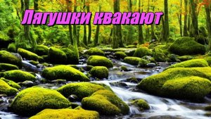 Лягушки квакают в пруду