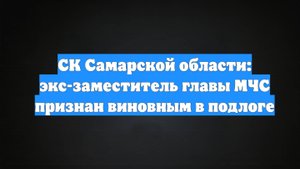СК Самарской области: экс-заместитель главы МЧС признан виновным в подлоге