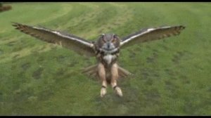 футаж. начало фильма.