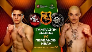 66 кг. Давид Тамразян (Боец) - Иван Перваков (Лидер)