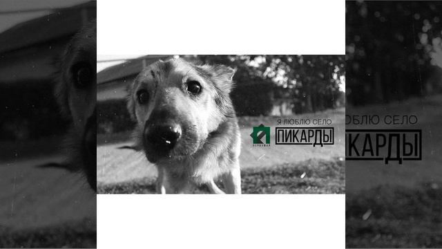 Я люблю село (Акапелла)