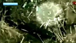 Один поле воин.Закаря Алиев.Уроженец Дагестана.