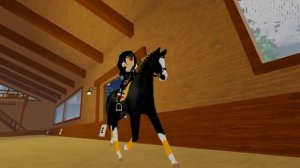 //Влог//Выездковая тренировка на ~Нельсоне~//рп//ВХИ//Wild h