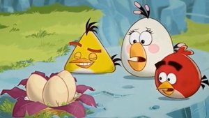 Angry Birds toons 1 сезон 5 серия