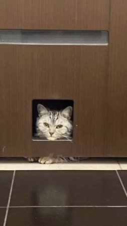 Чтобы тебе не было одиноко