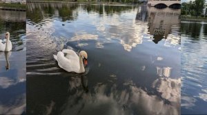 Юнна Мориц. Не бывает напрасным прекрасное...