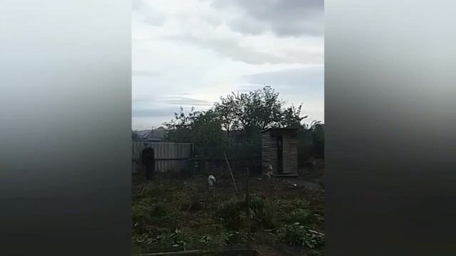 Детки😁