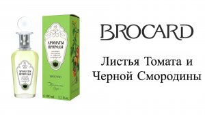 Обзор Аромата  - Листья Томата и Черной Смородины "Ароматы Природы" Brocard   БЮДЖЕТНО и ОТЛИЧНО