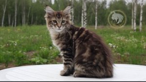 Iskander