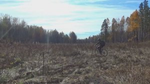 Осенний коп.