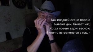 Я встретил Вас